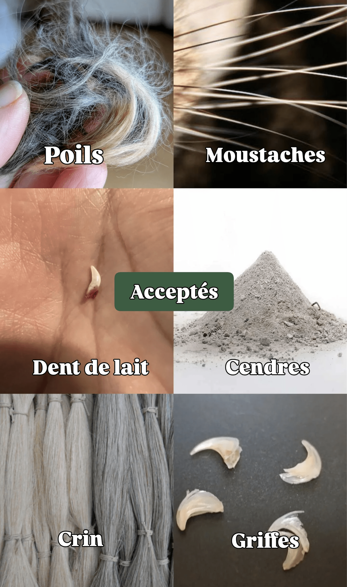 Empreintes Eternelles Colliers Collier "L'intuitif"