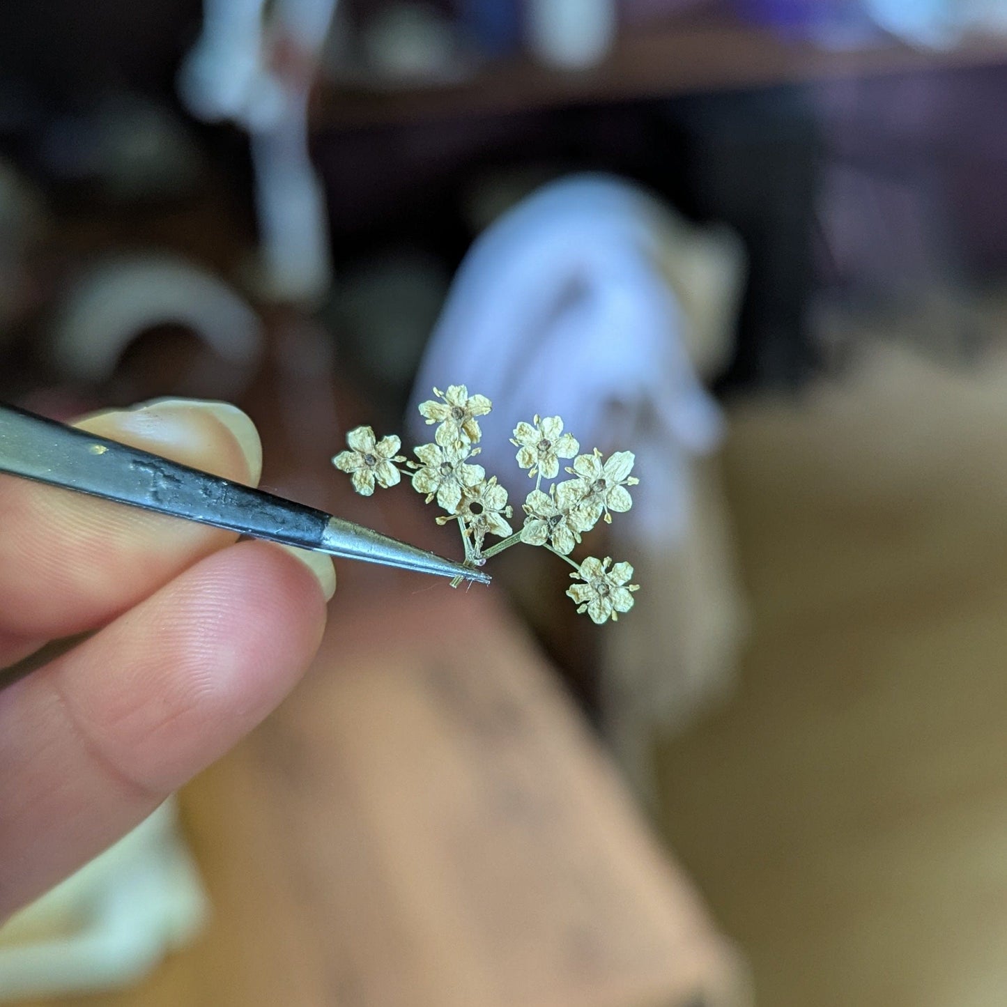 Étreinte Éternelle Boucles d'oreilles Boucles d'oreilles Sureau