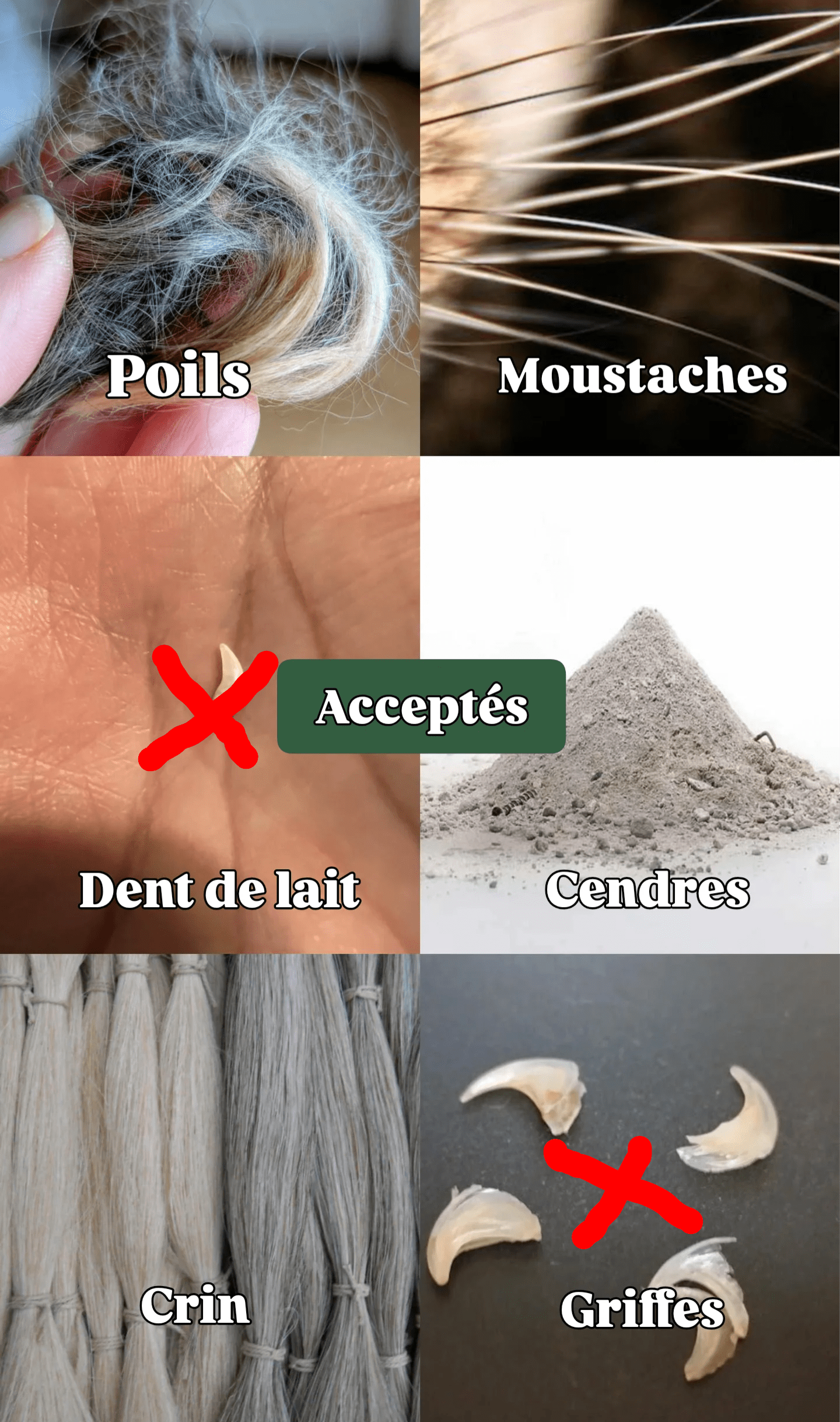 Étreinte Éternelle Colliers Collier "Amorys"