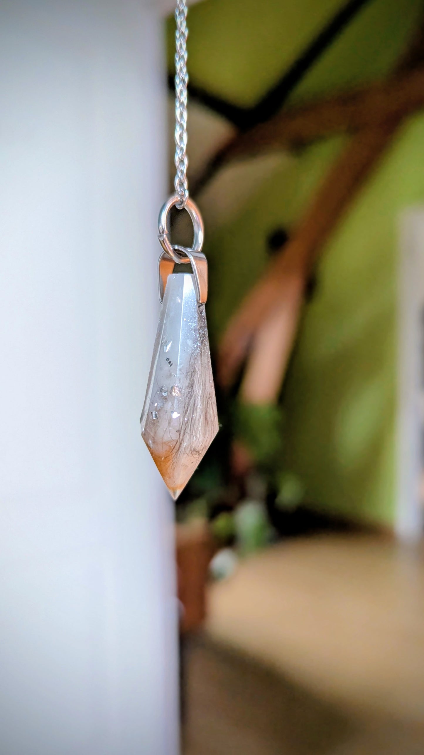 Pendule avec souvenirs d'animaux