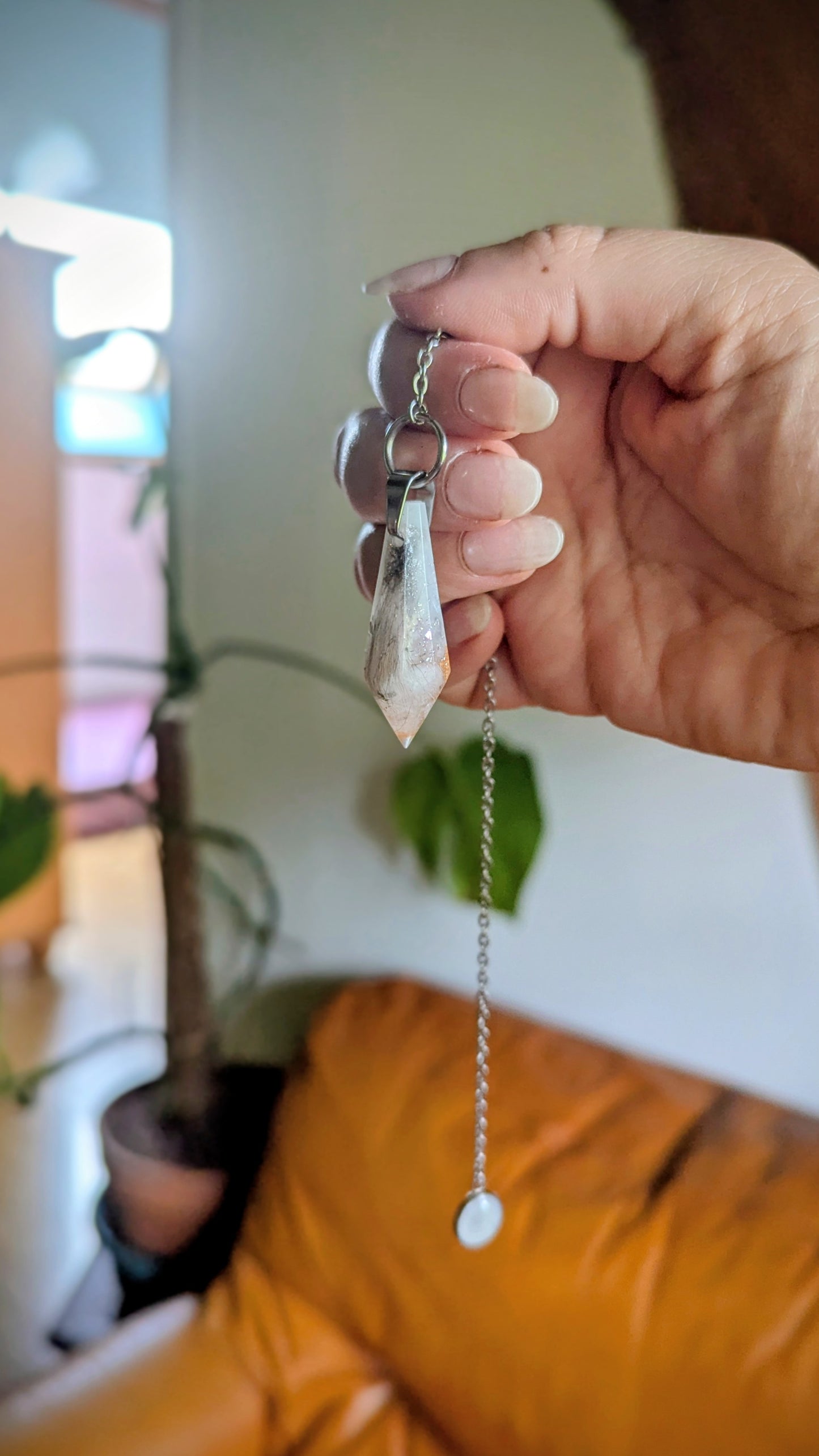 Pendule avec souvenirs d'animaux