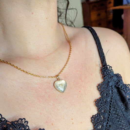 Collier souvenir animal Amorys en acier inox avec inclusion résine de poils, plumes ou cendres — vue 6