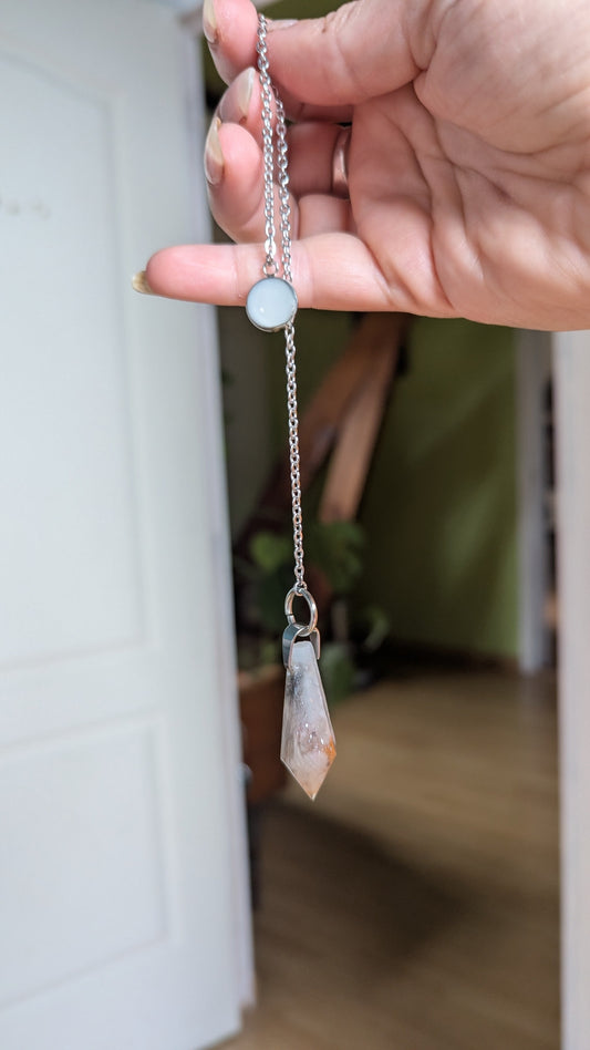 Pendule avec souvenirs d'animaux