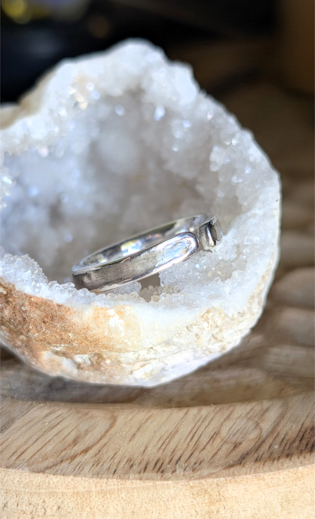 Bague souvenir animal "Complys" - Argent massif ou vermeil 23k